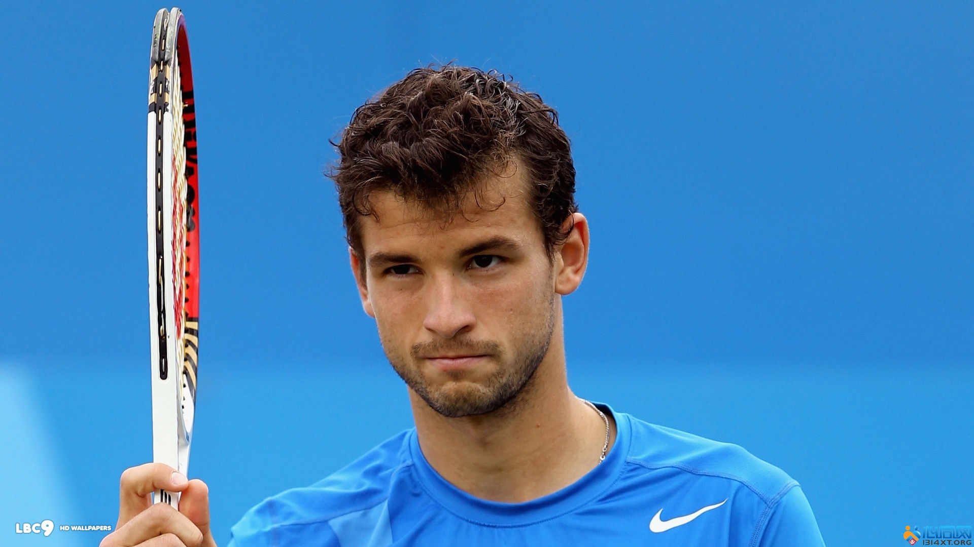 映场上的真 映场上的真