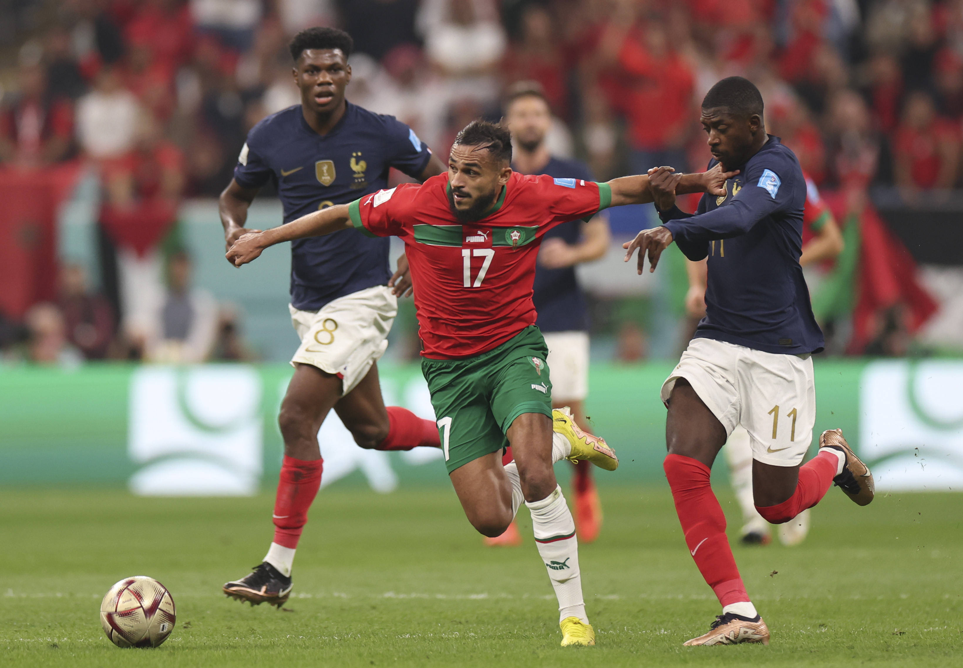 因此作出调 因此作出调